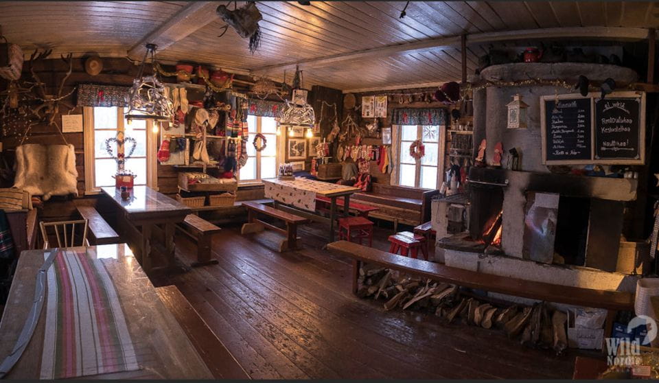 Levi: 3 Hour Snowmobile Safari Around Levi With Coffee Break - Key Highlights of the Activity