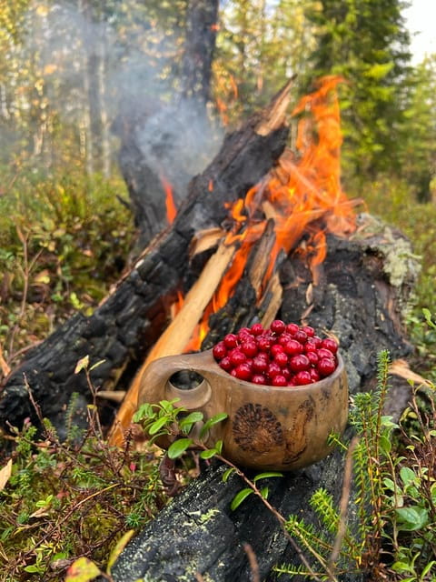 Levi: Autumn Hike and Reindeer Farm Visit - Exploring the Autumn Wilderness of Kittilä’s Puljutunturi