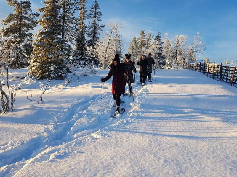 Levi: Easy Snowshoeing - Unique Aspects and Why They Matter