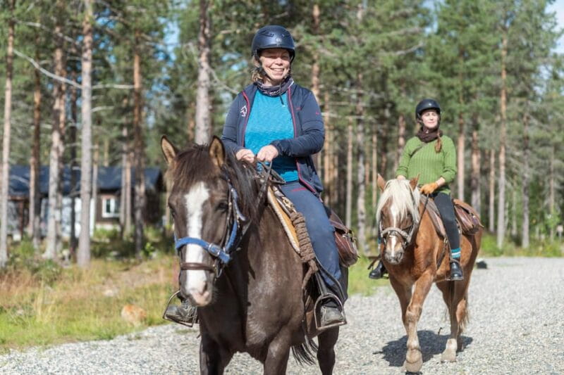 Levi: Evening Horseback Ride with Northern Lights - Diving Into the Details: The Itinerary and Experience