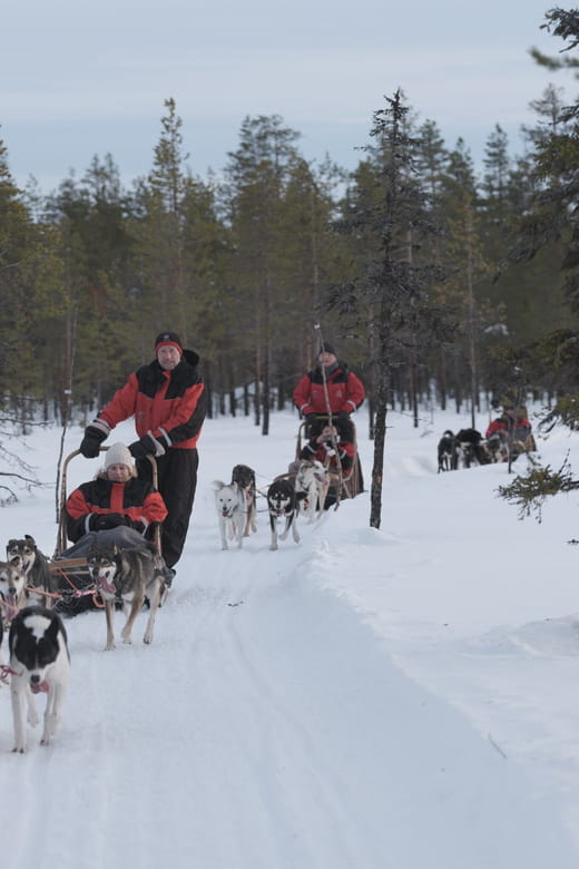 Levi: Follow the Elves  One day husky safari - Key Points and Takeaways