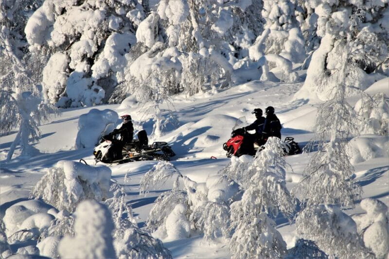 Levi: Forest Snowmobile Safari - Exploring Levi’s Forest Snowmobile Safari in Depth