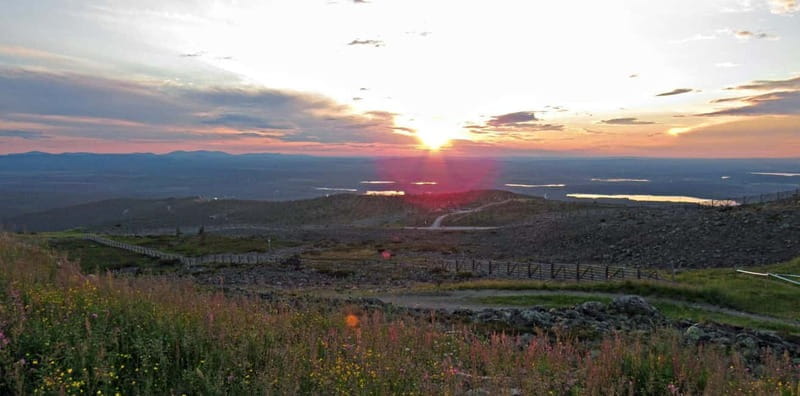 Levi: Guided Hike on the Shaman Päiviö Trail - The Sum Up: A Quiet, Authentic Taste of Lapland
