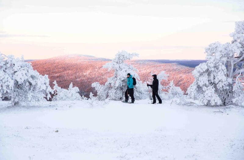 Levi: Guided Snowshoeing Adventure - Exploring the Snowy Silence of Finnish Lapland