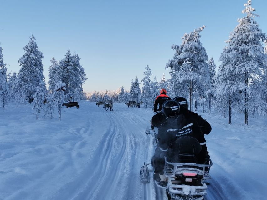 Levi: Half-day Snowmobiling Adventure - Exploring the Lapland Landscape