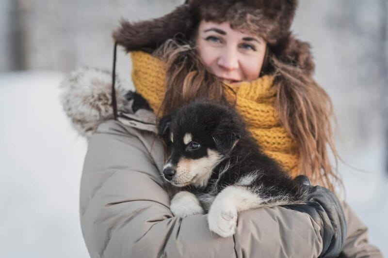 Levi: Horse and Husky Farm Visit with Juice and Cookies - Exploring the Farm Experience in Depth