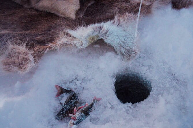 Levi Ice Fishing Experience in the Wild with Campfire Treats - Practical Tips and Considerations