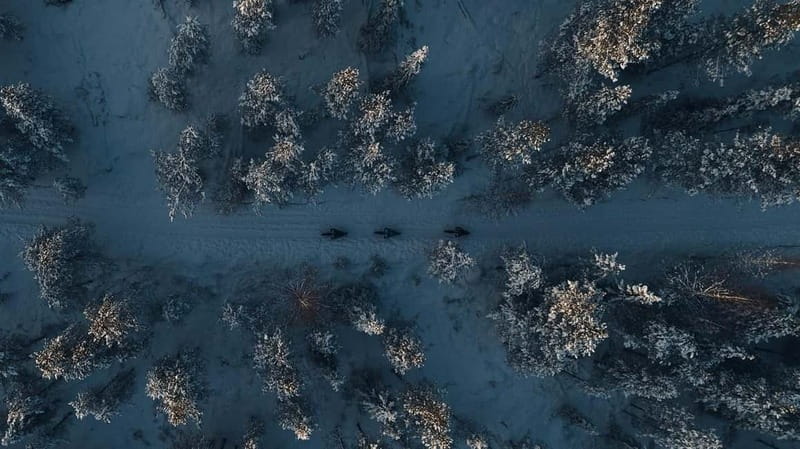 Levi, Lapland: E-Fatbike trip to white nature - An in-depth look at the e-fatbike tour in Levi