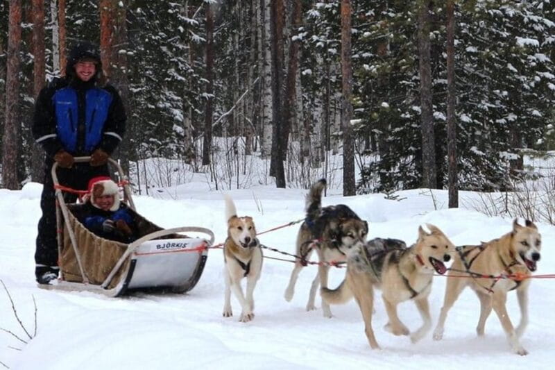 Levi: Lapland Reindeer and Husky Safari - Final Thoughts: Is This Tour for You?