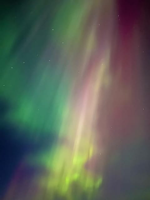 Levi: Northern Lights Adventure in the Wild, Campfire Treats - Key points / Takeaways