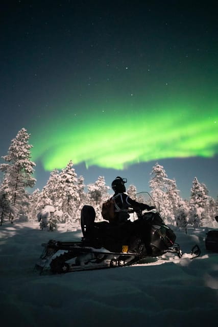 Levi: Northern Lights Sledge Ride - Key points / Takeaways