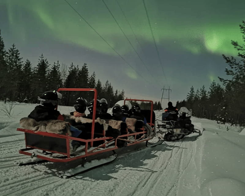 Levi: Northern Lights Sledge Ride - The Journey into the Arctic Night