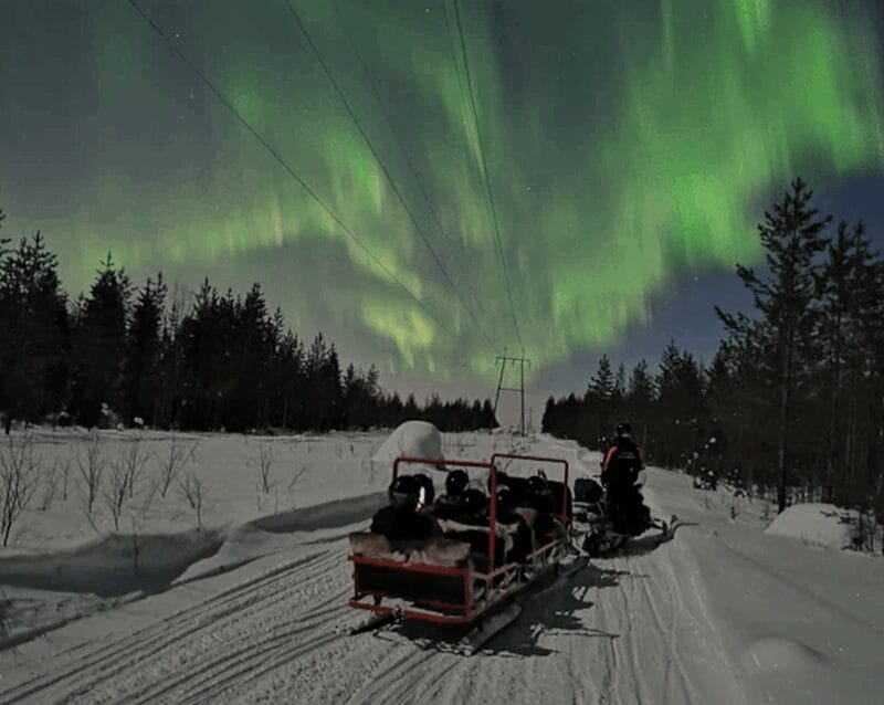 Levi: Northern Lights Sledge Ride - Who Will Love This Tour?