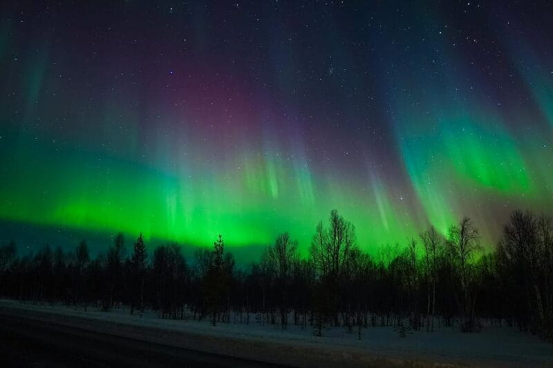 Levi: Northern Lights Tour with Guaranteed Sightings - Who Should Book This Tour?