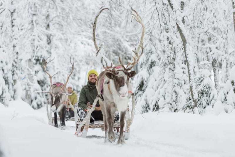 Levi: Reindeer Experience with Sled Ride - Key Points / Takeaways