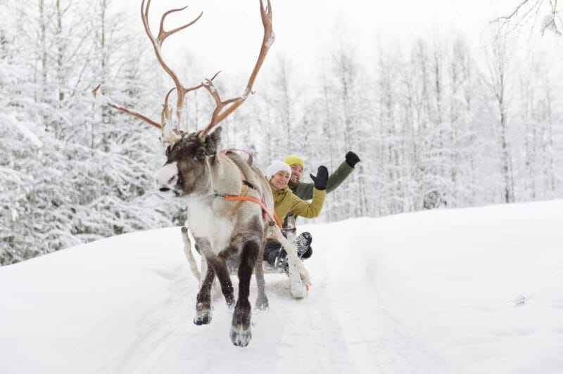 Levi: Reindeer Experience with Sled Ride - Frequently Asked Questions