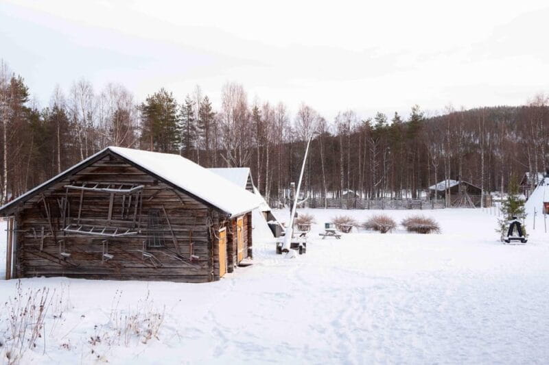 Levi: Reindeer Farm E-Fatbike Safari - Exploring the Lapland Wilderness on E-Fatbikes
