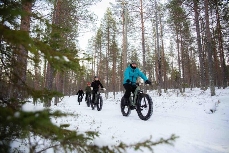 Levi: Reindeer Farm E-Fatbike Safari - The Cozy Break: Hot Drinks and Pastries
