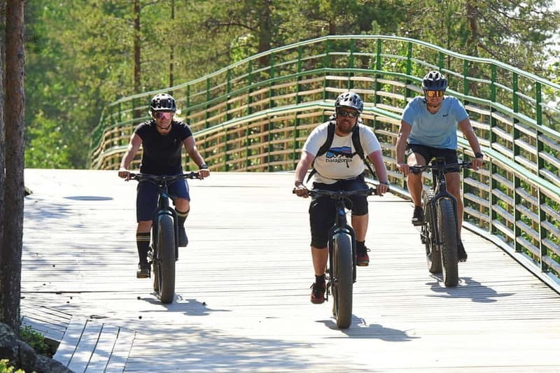 Levi: Reindeer Trails E-fatbike Adventure - Discovering Lapland on Two Wheels: A Deep Dive into the Reindeer Trails E-fatbike Experience