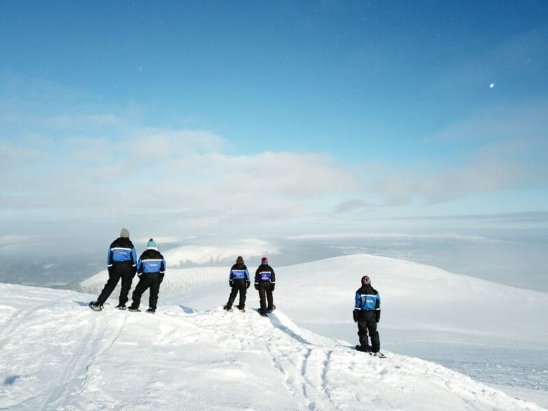 Levi: Scenic Levi Snowshoe Trip - Entering the Arctic Forest: What the Tour Looks Like