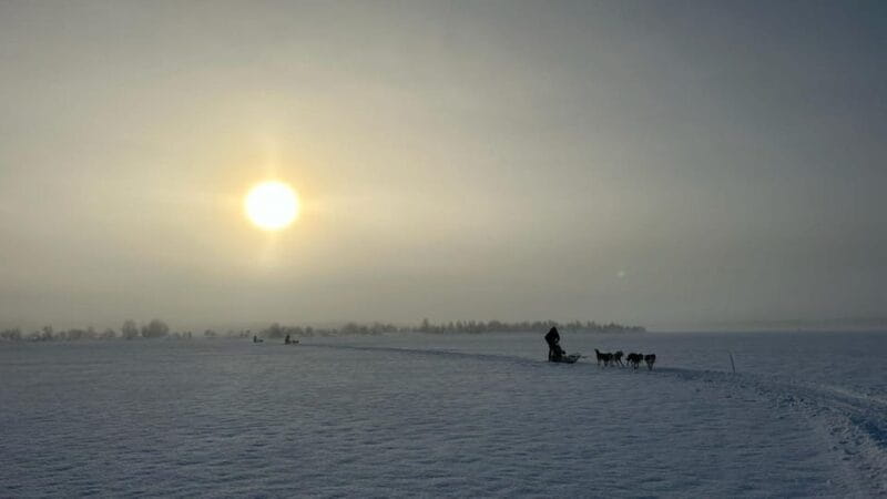 Levi: Self-Drive 5 KM Husky Sledding Experience - Key points / Takeaways