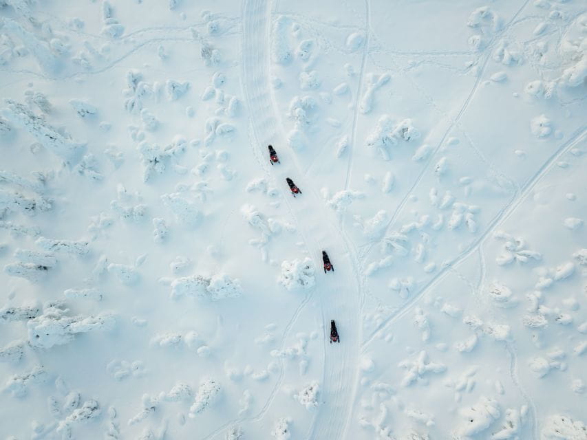 Levi: Snowmobile Safari for Adults - Guided Snowmobile Safari Tour