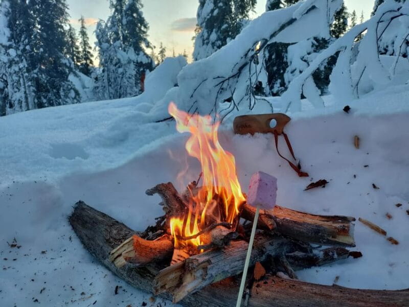 Levi: Snowshoeing and Marshmallow Grilling in the Snow - Key points / Takeaways