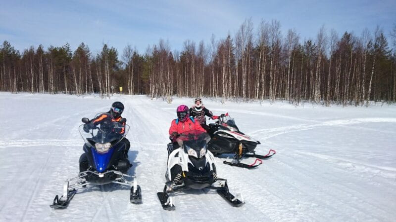 Levi: Winter Highlights Tour with Snowmobiling - Price and logistics: Making it smooth