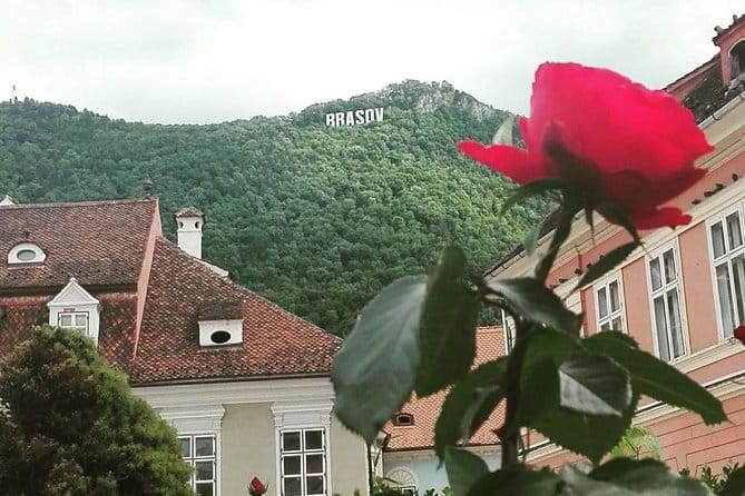 LiBEARty - the Brown Bear Sanctuary from Zarnesti - Exploring the Full-Day Transylvania Experience