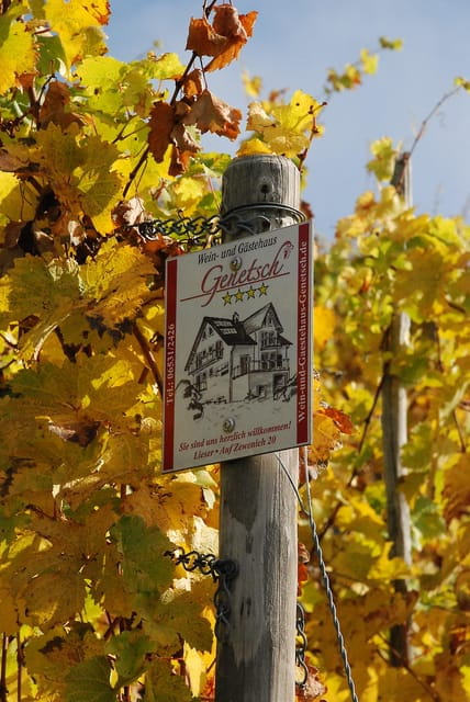 Lieser: covered wagon ride, the rolling wine tasting with picnic basket - Price and Value Analysis