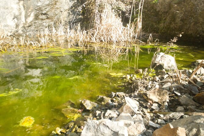 Lievàntu Wine Experience - Key points / Takeaways