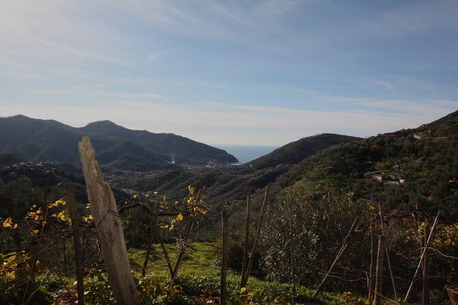 Lievàntu Wine Experience - Exploring Levanto’s Scenic Valley and Its Treasures