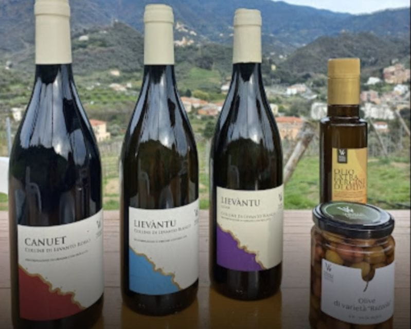 Lievàntu Wine Experience: Tour & tasting in Levanto Valley - What to Expect: A Step-by-Step Breakdown