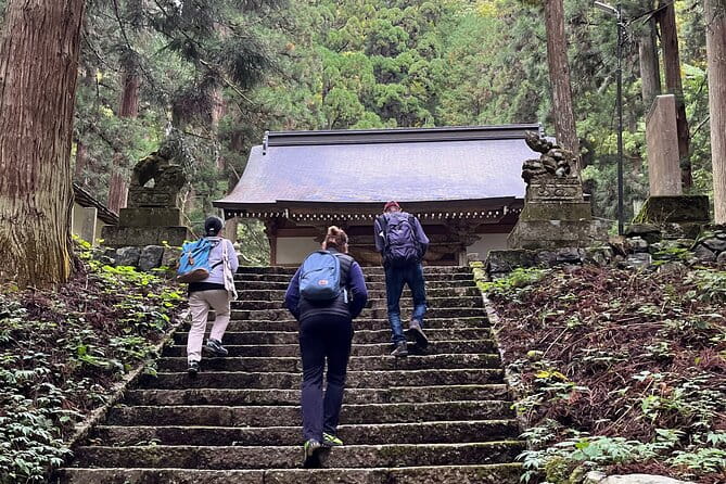 Life to Knife Immerse Into the Soul of Rustic Japan - The Sum Up