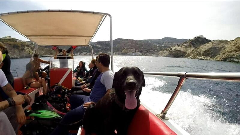 Ligaria: Snorkeling trip with Motor Boat around Agia Pelagia - Ligaria: Snorkeling trip with Motor Boat around Agia Pelagia