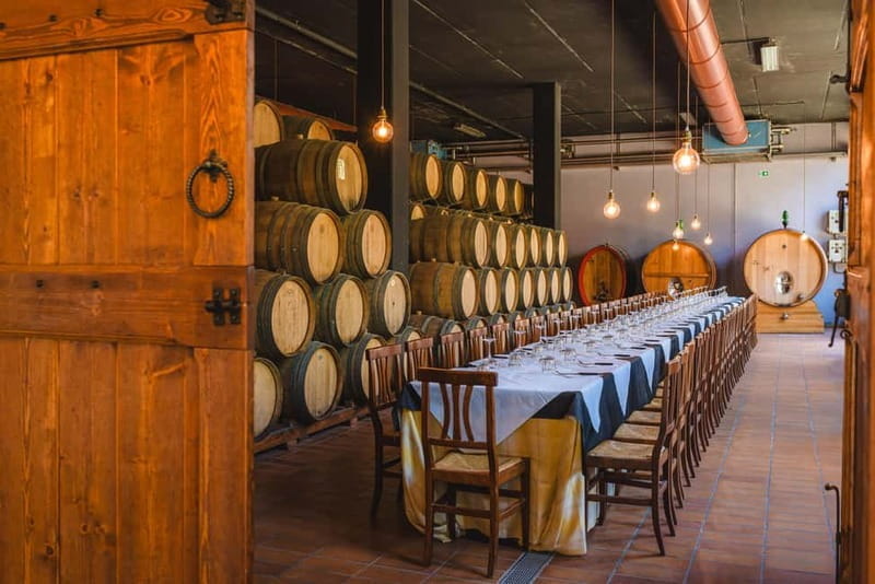 Light Lunch "Ad Hoc di San Gimignano" - Palagetto winery - Who Is This Experience Best For?