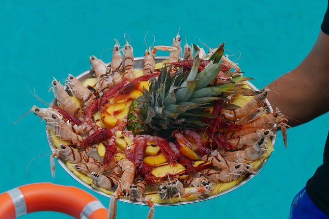 Liliana's Boat Trip With Lunch Included - Scenic Swimming Spots