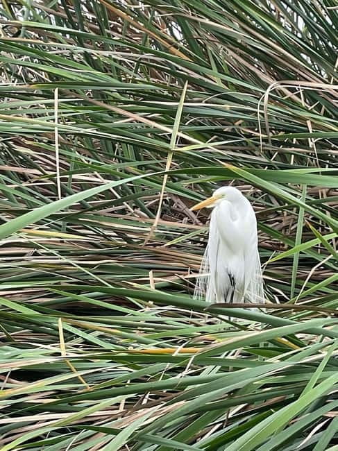 Lima: guided tour of a nature reserve on the Rimac River - Ending at the Pacific Coast
