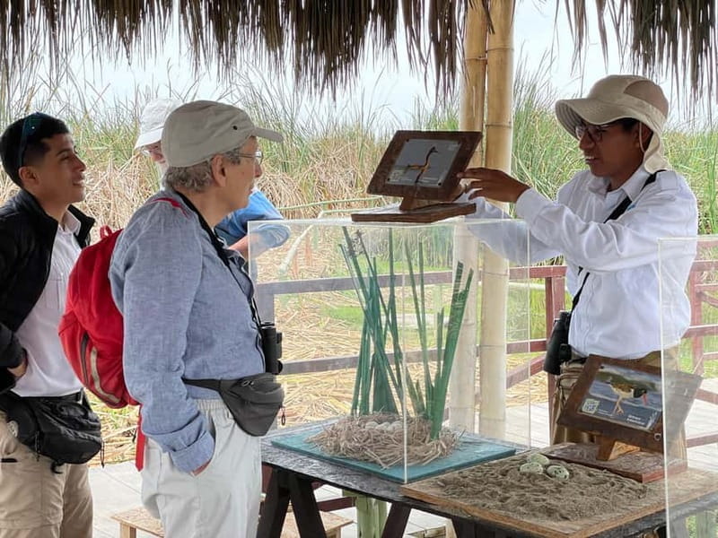 Lima: guided tour of a nature reserve on the Rimac River - Who Would Enjoy This Tour?