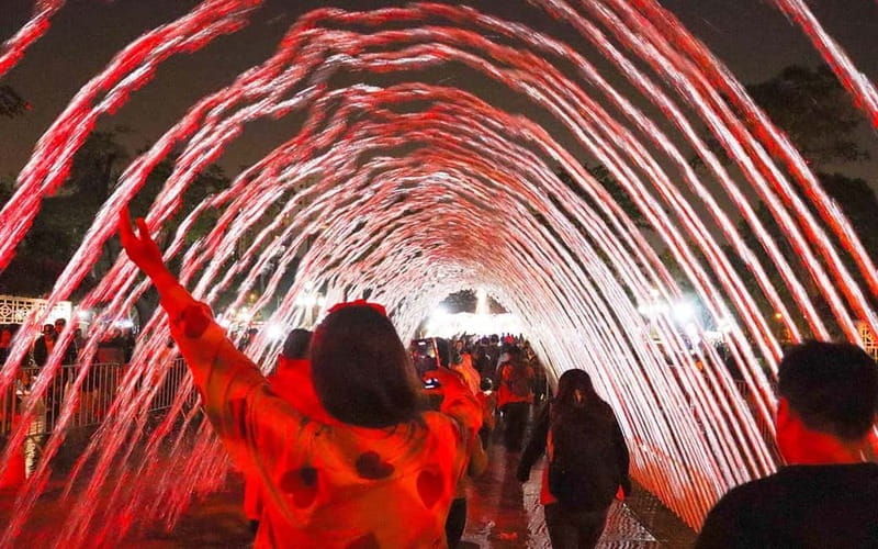 Lima: Magical water and laser show - Who Should Book This Tour?