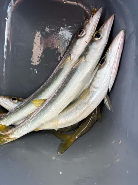 Limassol: Swimming trip with trolling or bottom fishing - Key points / Takeaways