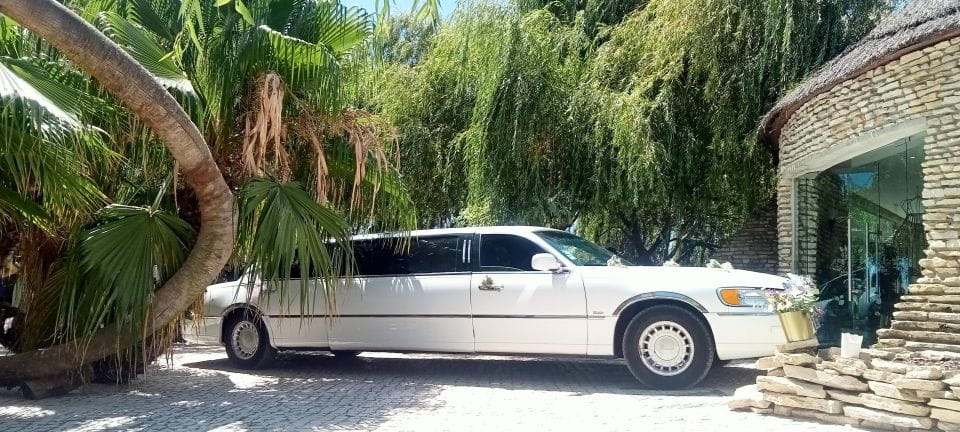 Limousine Rental - Driver and Accessibility