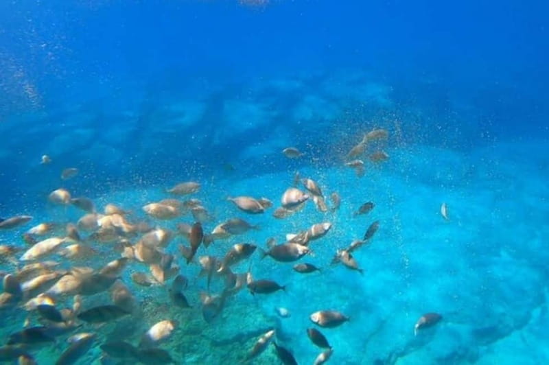 Lindos: 3Hour Hippo Submarine with Swim Stop at Navarone Bay - FAQ