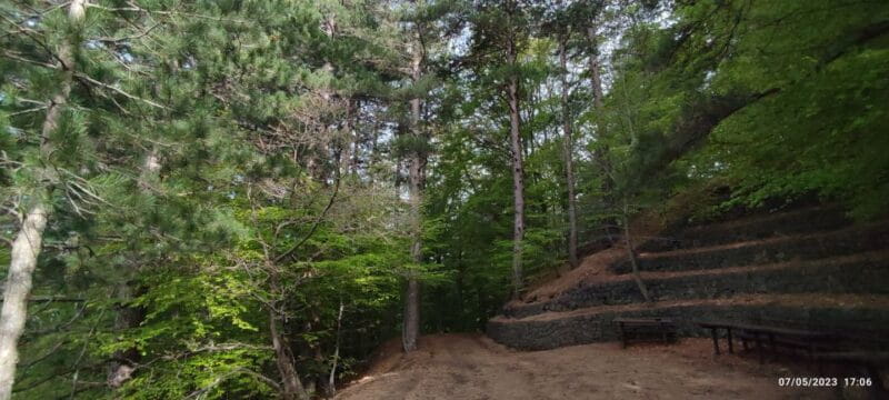 Linguaglossa: North Etna Guided Forest Walking Tour - FAQ