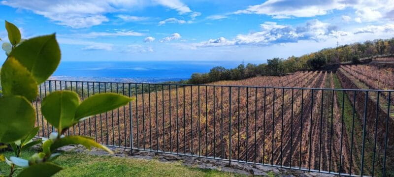 Linguaglossa: Turkish Spa and Massage with Wine Tasting - Discovering the Ultimate Sicilian Wellness and Wine Experience