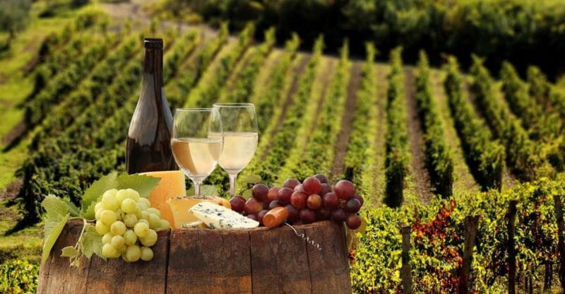 Linguaglossa: Wine Tasting Experience at Etna Nord - Exploring the Heart of Sicilian Wine at Etna Nord