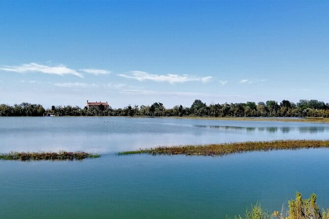 Lio Piccolo: Flamingos & Birdwatching Bike Tour in the Lagoon - An In-Depth Look at the Experience