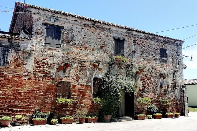 Lio Piccolo: Flamingos & Birdwatching Bike Tour in the Lagoon - Additional Tips