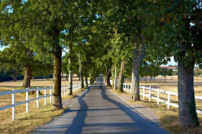 Lipica Stud Farm- Private Experience from Koper - FAQ