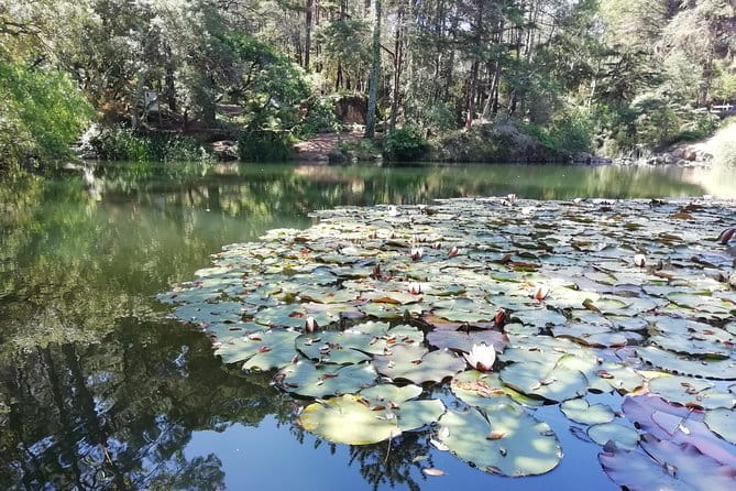 Lisboa, Cascais and Sintra - Private guided tour - Discovering Sintra: Palaces, Castles, and Local Flavors